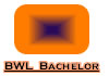 Metakurs BWL Bachelor