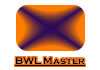 Metakurs BWL Master
